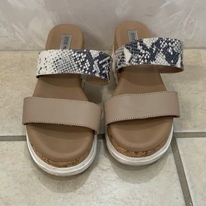 Women’s Steve Madden shoes